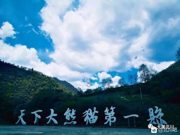 【委员来当推荐官⑤】TA的名字叫苗绣 飞针走线指尖游
