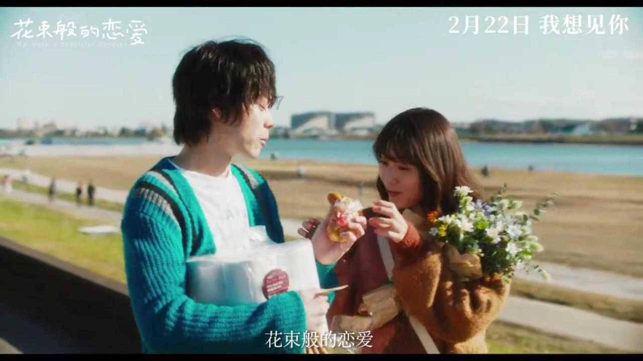 寂静森林找星星
