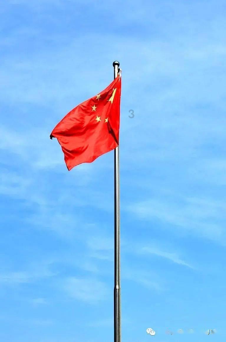 逗小猴开心系列187