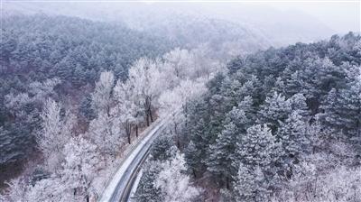 大学室友不过泛泛之交，这个观点正确吗?游戏画面